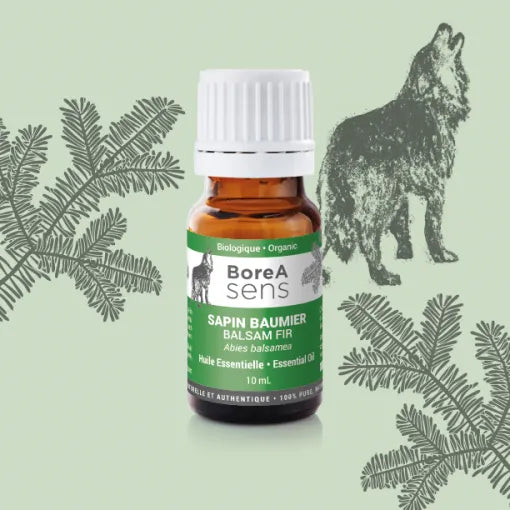 Balsam Fir - Organic